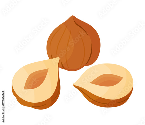 Hazelnuts ripe and tasty. Half and whole hazelnuts without shell. Hand drawn trendy flat style isolated icon. Healthy treat, snacks, peeled forest nuts. Vector illustration