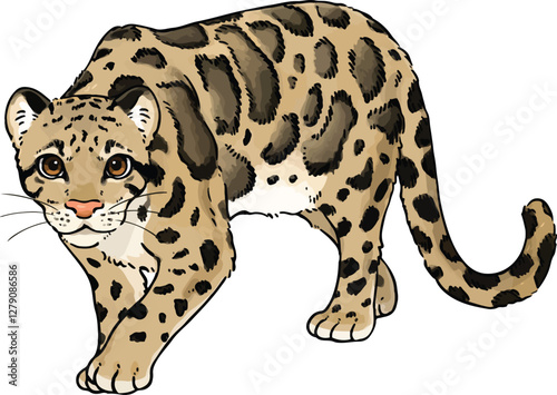 Cute illustration of Clouded Leopard