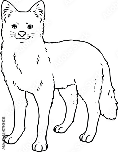 Cute hand drawn line art illustration of Dhole