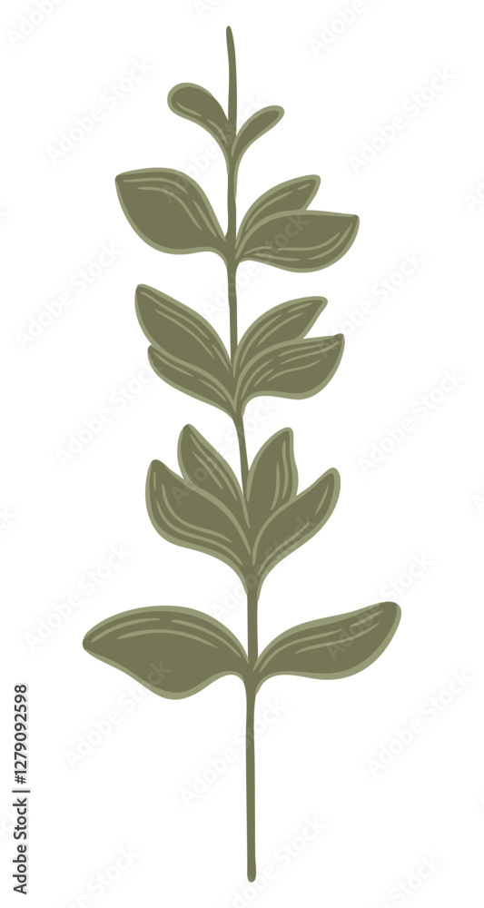 Fototapeta premium Eucalyptus twig. Abstract leaves. Vector.