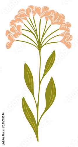 Abstract flower. Botanical illustration. Vector.