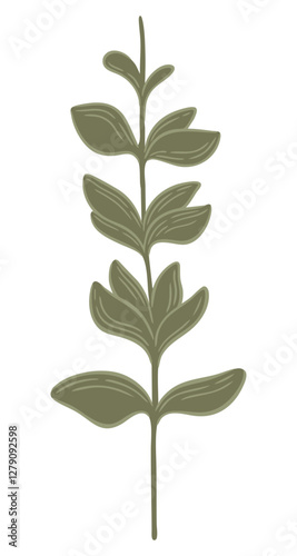 Eucalyptus twig. Abstract leaves. Vector.