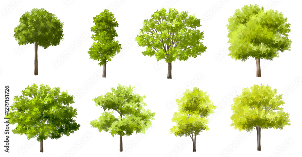 Vector watercolor green  tree or forest side view isolated on white background for landscape and architecture drawing,elements for environment or and garden,Shrub for section