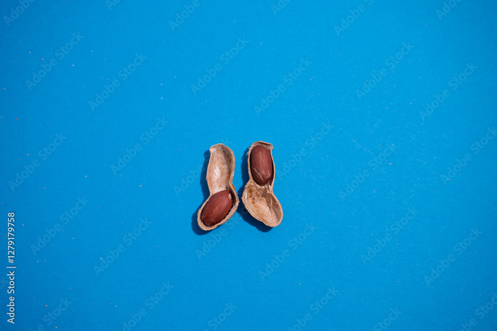 top view open peanut shell with two nuts on a blue background, minimalistic style. top view open peanut shell with two nuts on a blue background, minimalistic style.