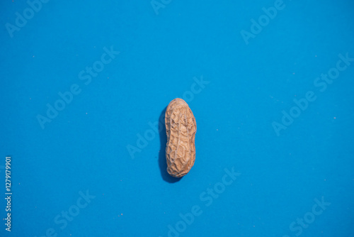 A single peanut close-up on blue background top view with copy space.