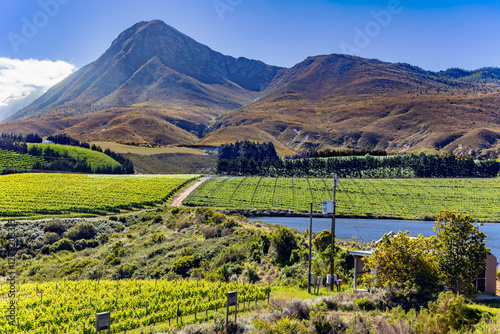 Vineyards based in one of South Africa’s finest wine-making regions, Walker Bay. Situated in the Hemel-en-Aarde valley of Hermanus, this region is well-suited to the production of Pinot Noir.