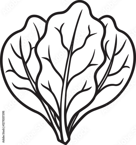 spinach line art, black outline, vector and illustration, line art and outline