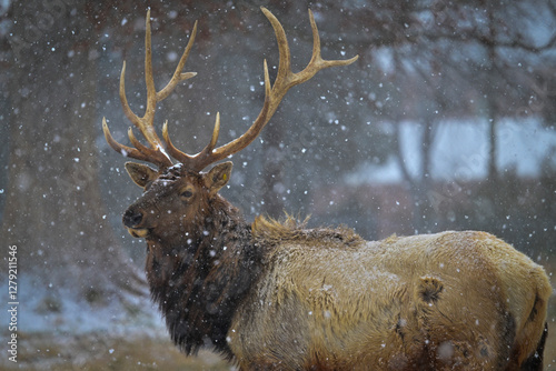 Snowy day on DLA's DSCR photo