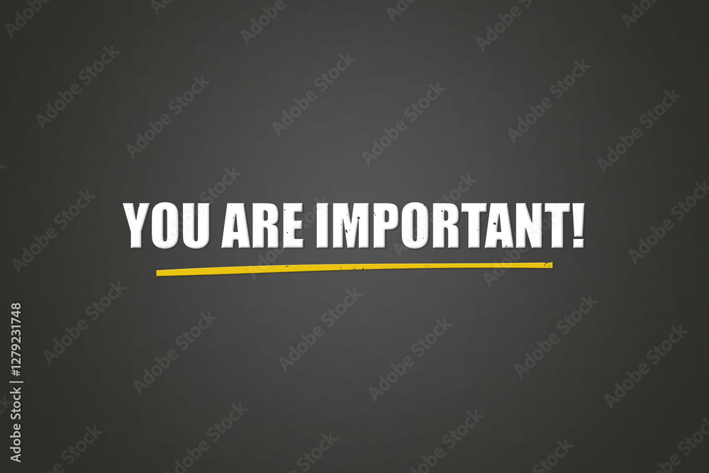 Obraz premium You are Important. A blackboard with white text. Illustration with grunge text style.
