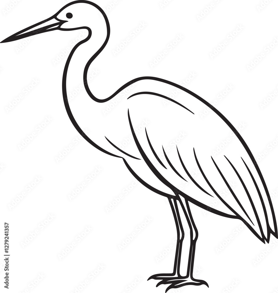 Obraz premium egret bird line art, black outline, vector and illustration, line art&nbsp;and&nbsp;outline