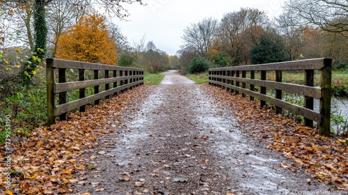 Autumnal canal towpath bridge, leaves, trees