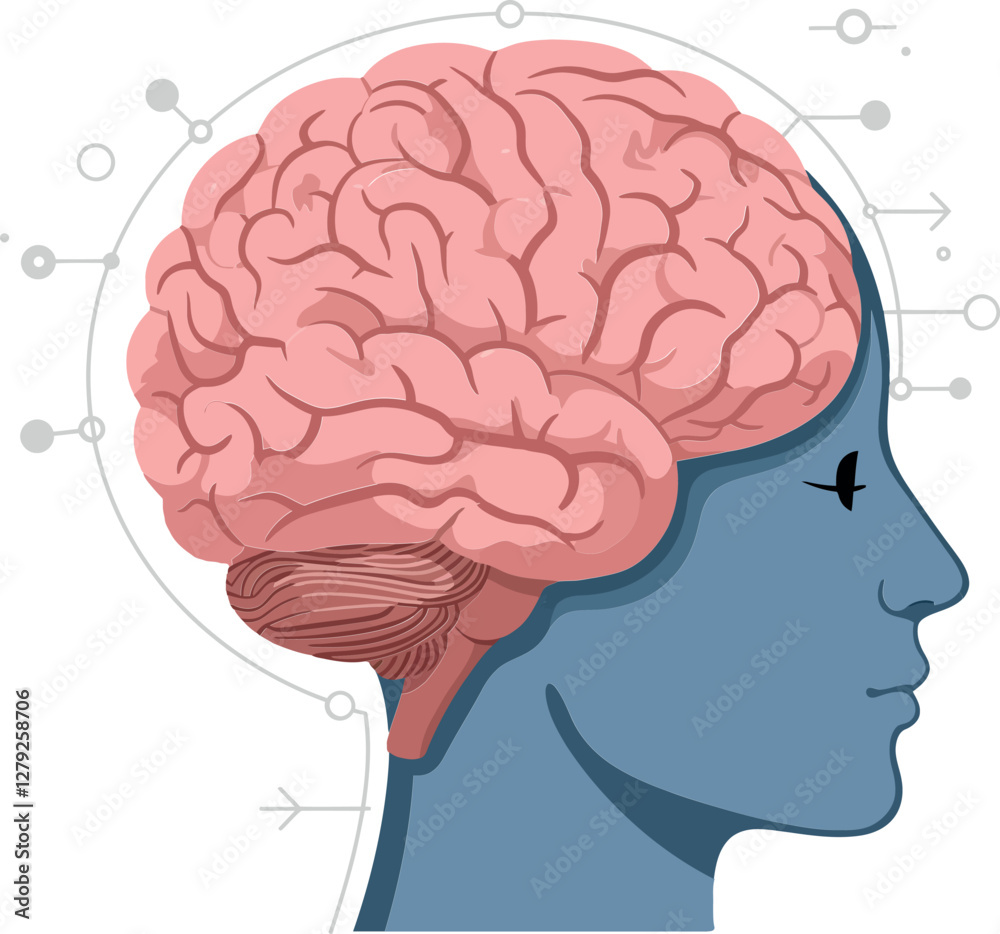 Human profile silhouette with a detailed pink brain, surrounded by abstract shapes and lines in a flat vector illustration Human profile silhouette with a detailed pink brain, surrounded by abstract shapes and lines in a flat vector illustration