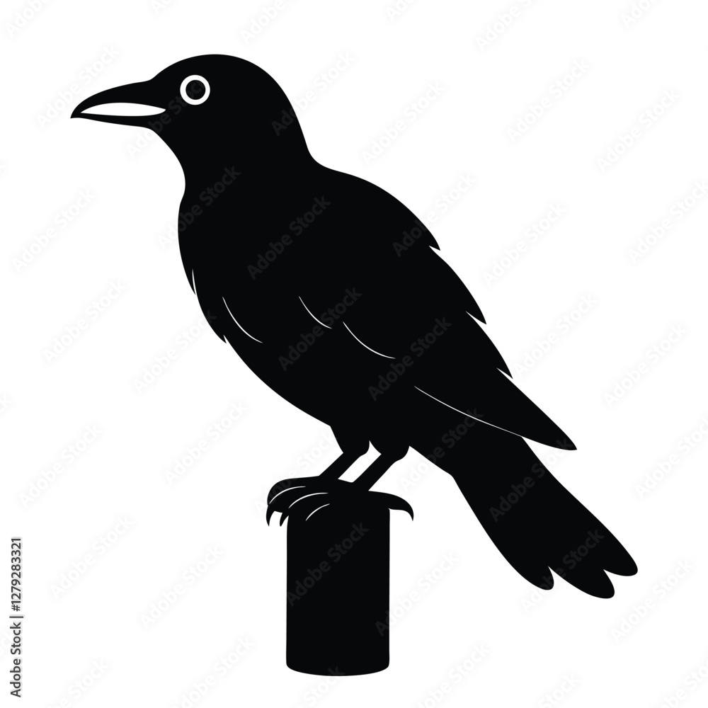 Fototapeta premium Crow Silhouette isolated on a white background