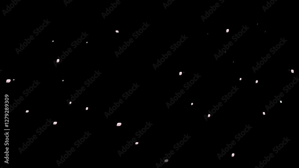 cartoon cherry blossom falling on black screen, flower leaves fall down movement, spring , fall, autumn, 2d animation, black background, Sakura cherry blossom, animation cartoon cherry blossom falling on black screen, flower leaves fall down movement, spring , fall, autumn, 2d animation, black background, Sakura cherry blossom, animation