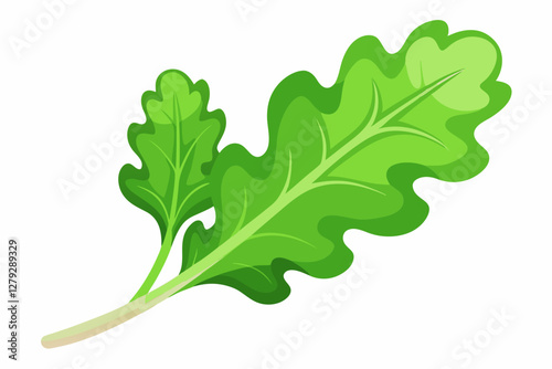 green leaf isolated  vector illustration