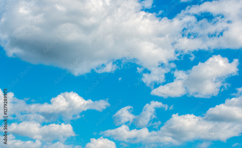 Fototapeta premium White cloud in the blue sky