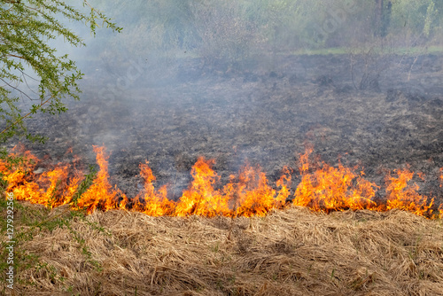 fire in a field, fire spreading through dry grass and vegetation, with visible flames and smoke