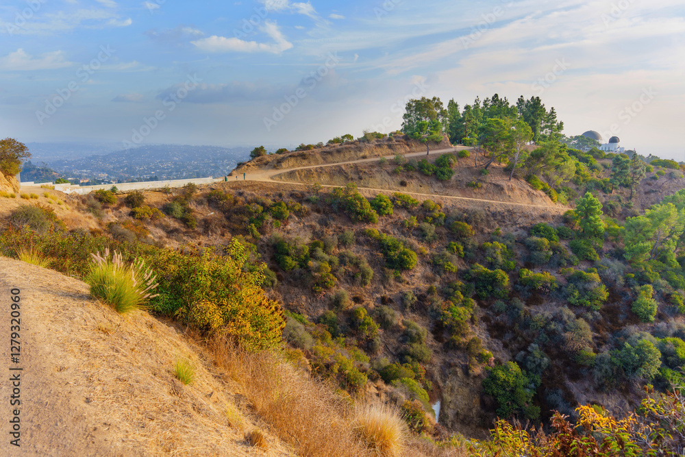 Fototapeta premium Scenic Pathway near Griffith Observatory with Lush Hillside