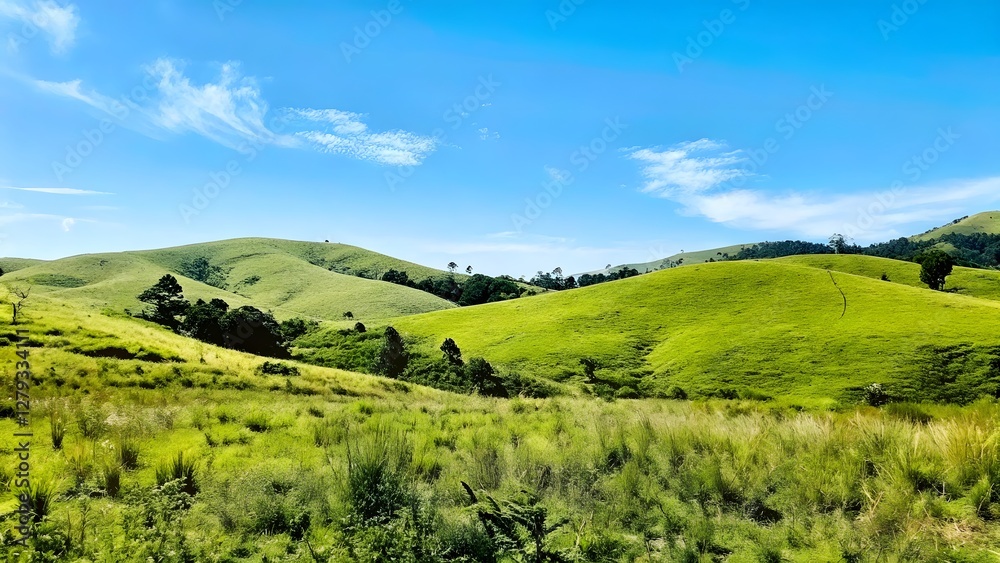 Naklejka premium Rolling green hills under a bright blue sky peace