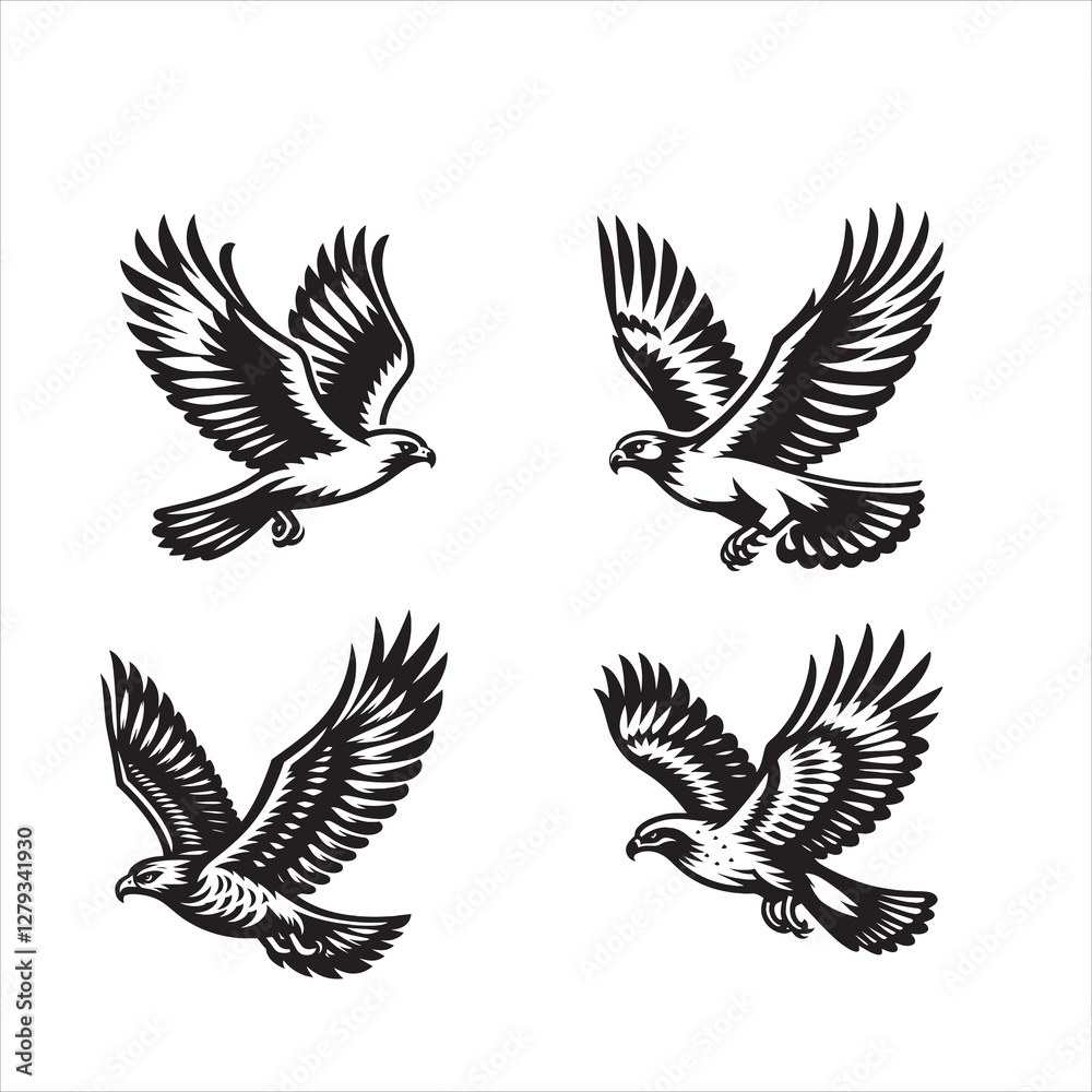 Fototapeta premium Red tail hawk vector, flying, set hawak