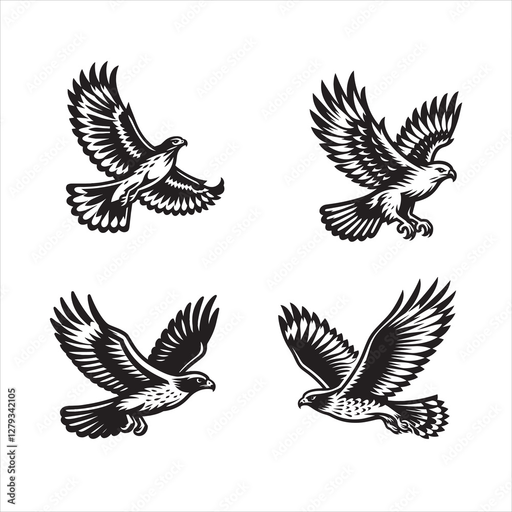 Fototapeta premium Red tail hawk vector, flying, set hawak
