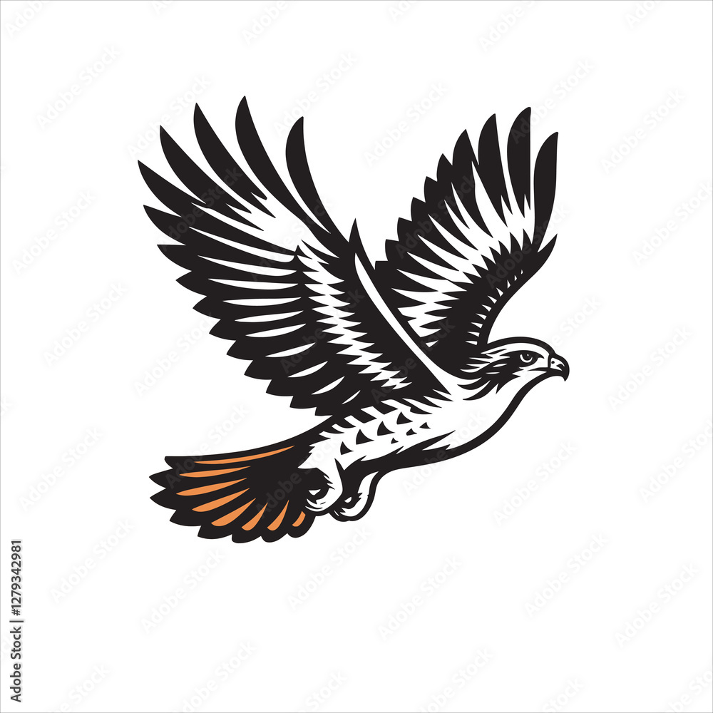 Obraz premium Red tail hawk vector, flying, set hawak