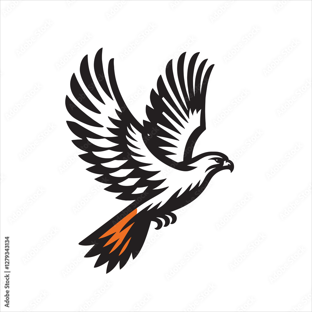 Obraz premium Red tail hawk vector, flying, set hawak