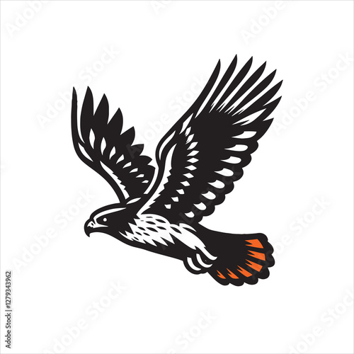 Red tail hawk vector, flying, set hawak