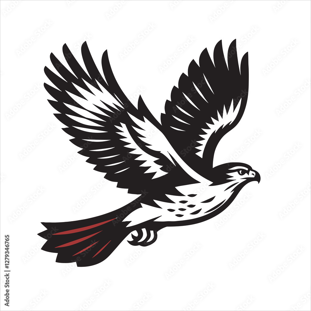 Obraz premium Red tail hawk vector, flying, set hawak