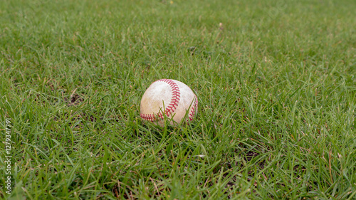 Image capturing a baseball nestled among green grass blades, suggesting a game or recreation. Ideal for themes related to sports, summer activities, or outdoor play.