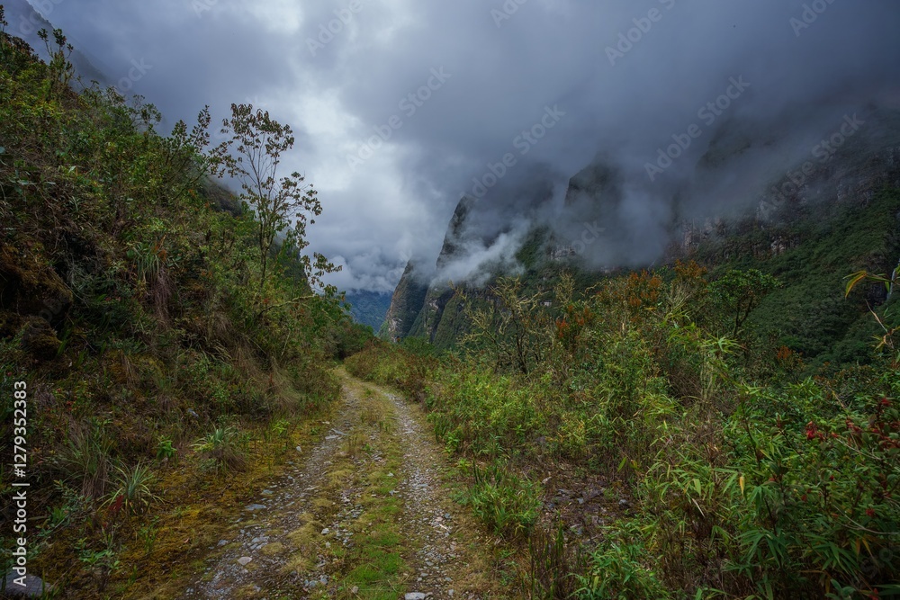 Waterfall and landscape in the Khari Khari mountain range in the Andes of Bolivia. It is situated in the Potosí Department.
Waterfall and landscape in the Khari Khari mountain range in the Andes of Bolivia. It is situated in the Potosí Department.