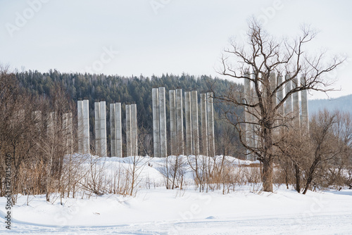 In the serene winter landscape, there is a picturesque snowy field adorned with several trees and a charming building in the background, creating a beautiful seasonal scene photo