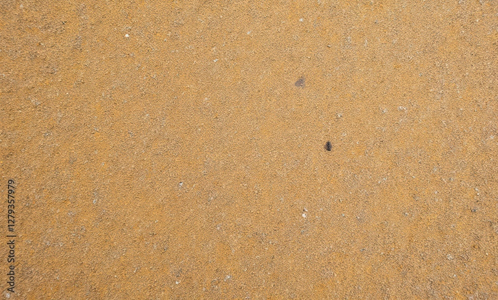 Textured sandy beach surface Textured sandy beach surface
