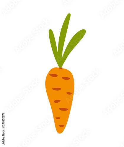Hand drawn vector illustration of a bright orange carrot with green leaves vector illustration