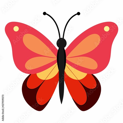 butterfly on white background