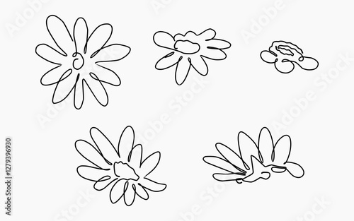 Simple black and white hand-drawn floral line art set for botanical designs