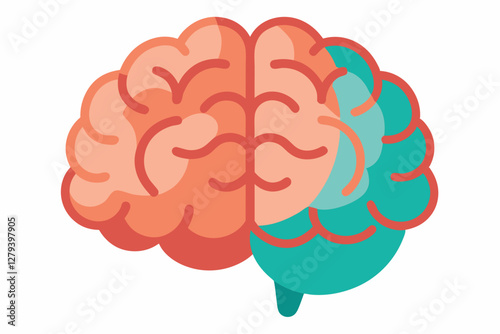Brain human anatomy biology organ body system health care