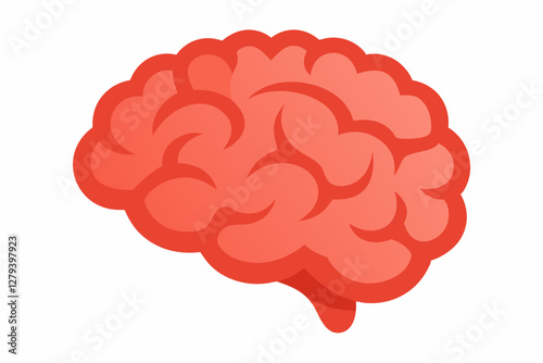 Brain human anatomy biology organ body system health care