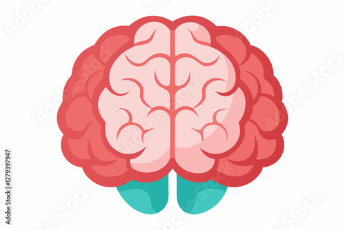 Brain human anatomy biology organ body system health care