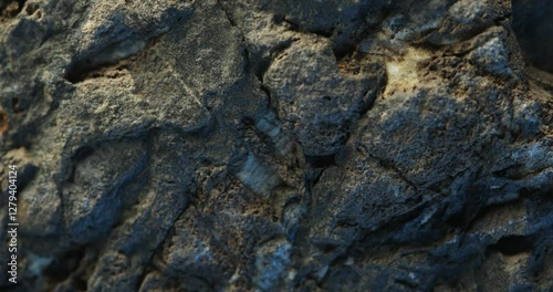 Wallpaper Mural Close-Up of a Dark Rock with a Thick White Quartz Vein Torontodigital.ca