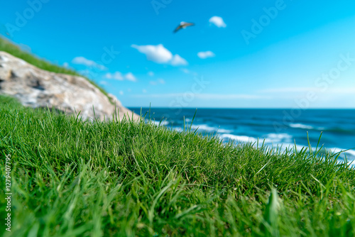 Sweeping cliffs draped in green grass meet the vast, open sea. Foamy waves break against the rugged shoreline, and seagulls glide above, embraced by the summer breeze
