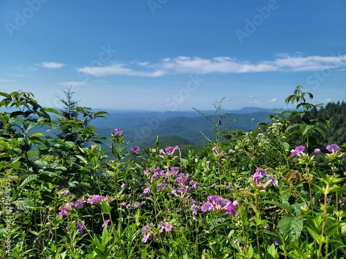 Tennessee landscapes