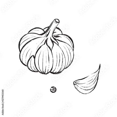  Vector illustrationBlack and white vector drawing of a garlic bulb, clove, and seed. Suitable for botanical illustrations, packaging, logos, prints, design, and culinary projects.