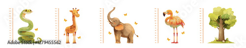 kids growth rulers cartoon. ruler with snake giraffe elephant flamingo tree, growing up measurement decor wall centimeter inch foot kids room vector illustration