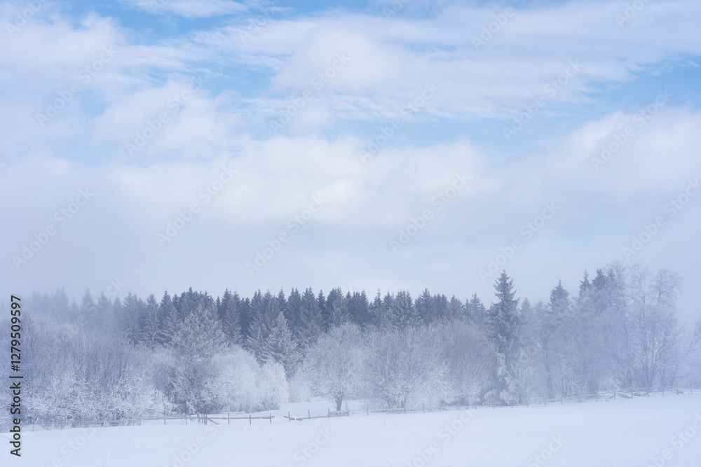 Hoarfrost along Kronborgsetergrenda of rural Toten, Norway, in February 2025. Hoarfrost along Kronborgsetergrenda of rural Toten, Norway, in February 2025.