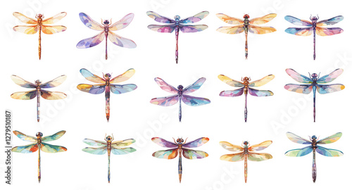 Watercolor dragonflies. Colorful insects with wings, summer spring fly bug, nature decoration set vector illustration