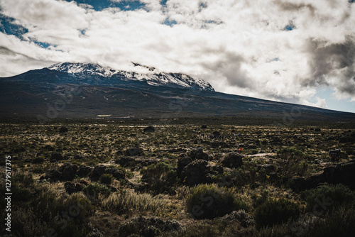 Mount Kilimanjaro surrounded by grassy plains