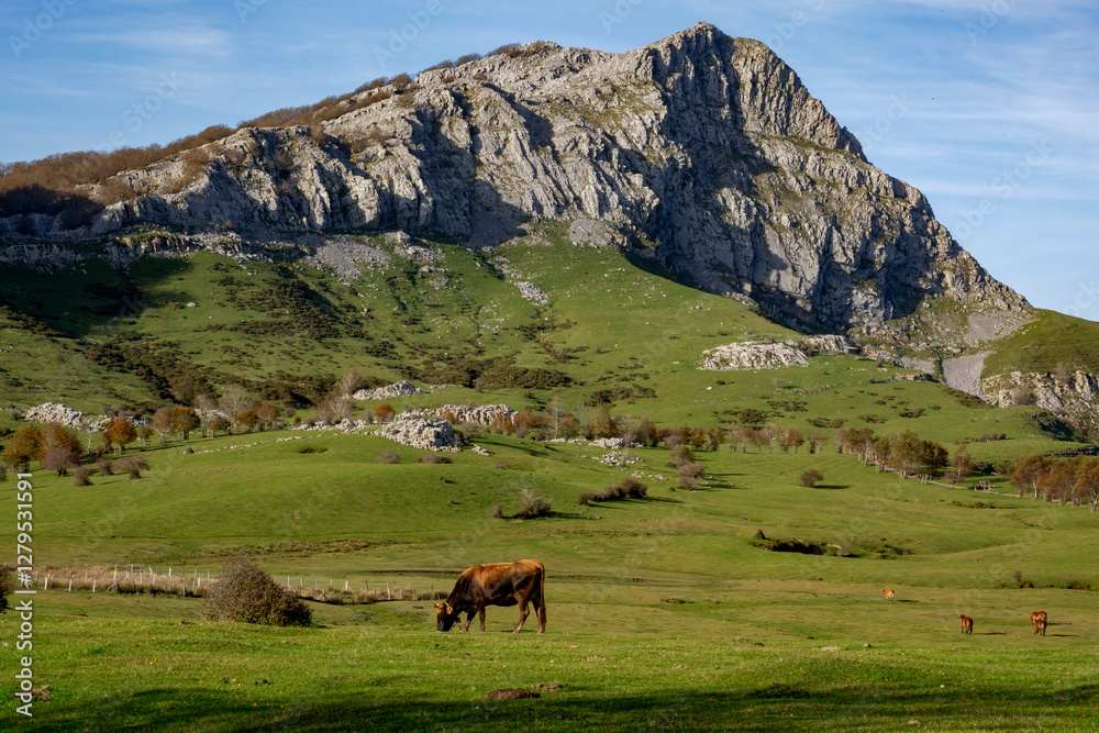 Horses and cows grazing in a beautiful setting in the Gorbea Natural Park in the Basque Cpuntry, Spain Horses and cows grazing in a beautiful setting in the Gorbea Natural Park in the Basque Cpuntry, Spain