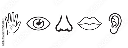 Five human senses icons isolated on white background vector illustration