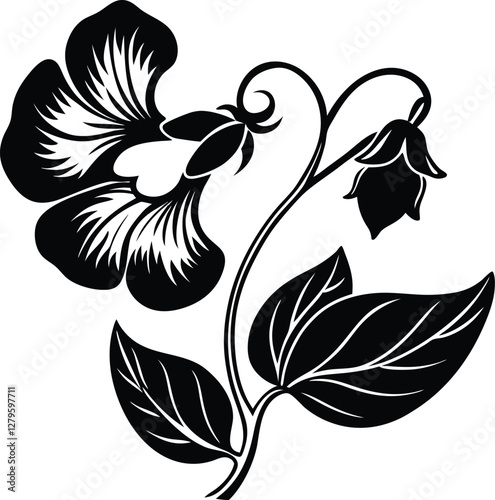 Pea flower isolated on white background. Black and white vector illustration.